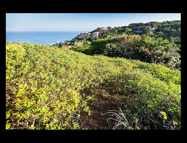 1,105M² VACANT LAND FOR SALE IN SHEFFIELD BEACH